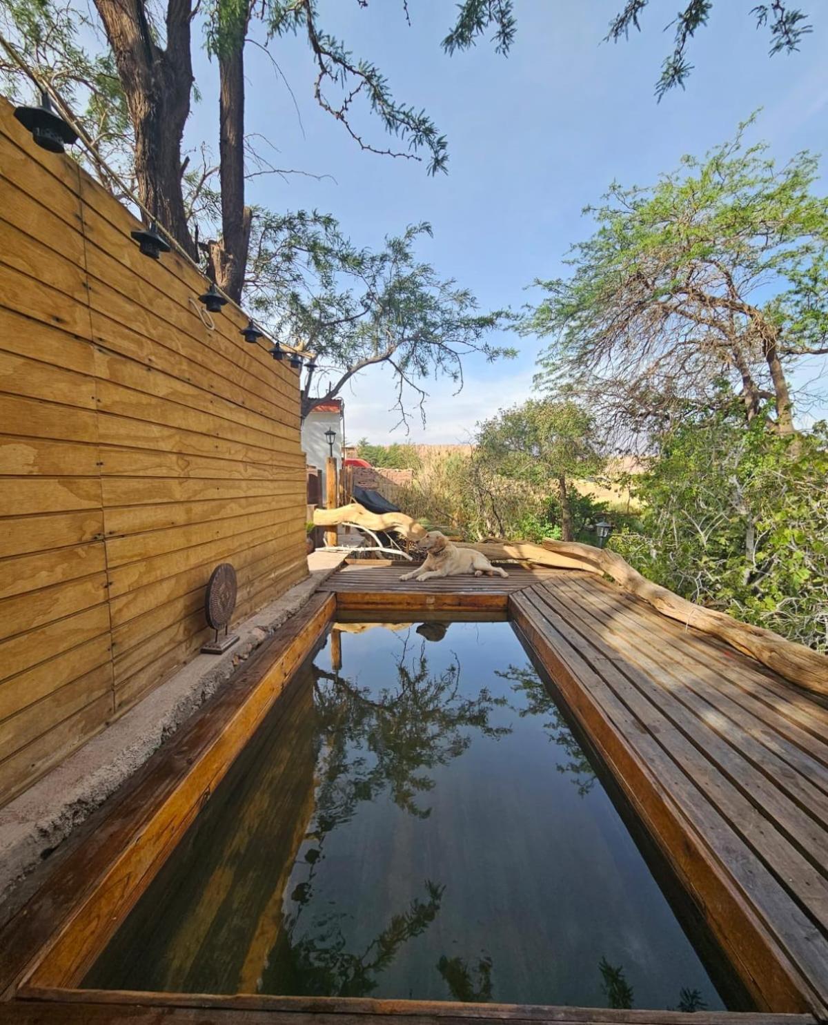Anka Lodge Quitor San Pedro de Atacama Bagian luar foto