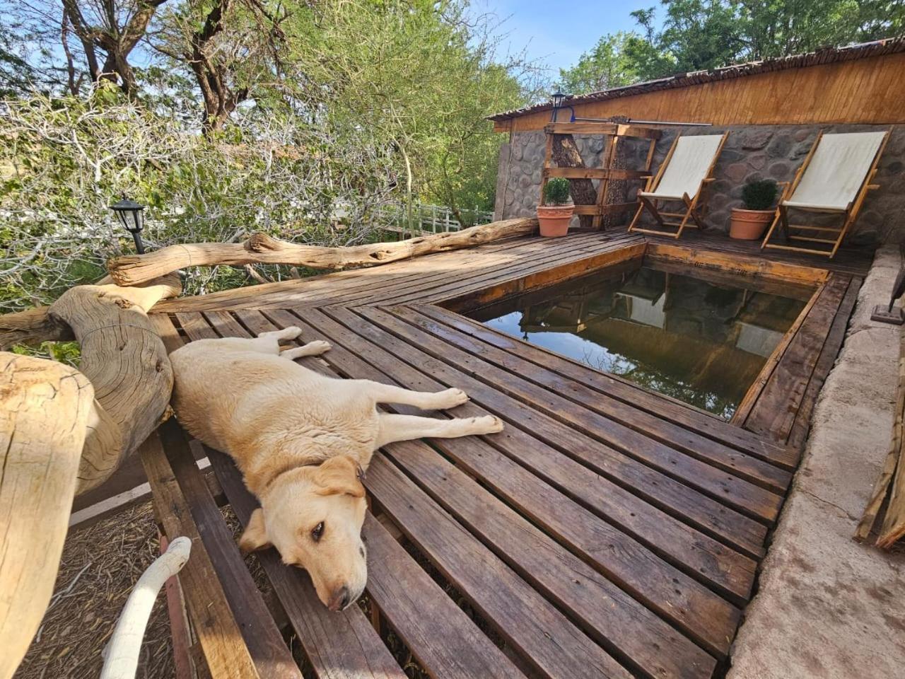 Anka Lodge Quitor San Pedro de Atacama Bagian luar foto