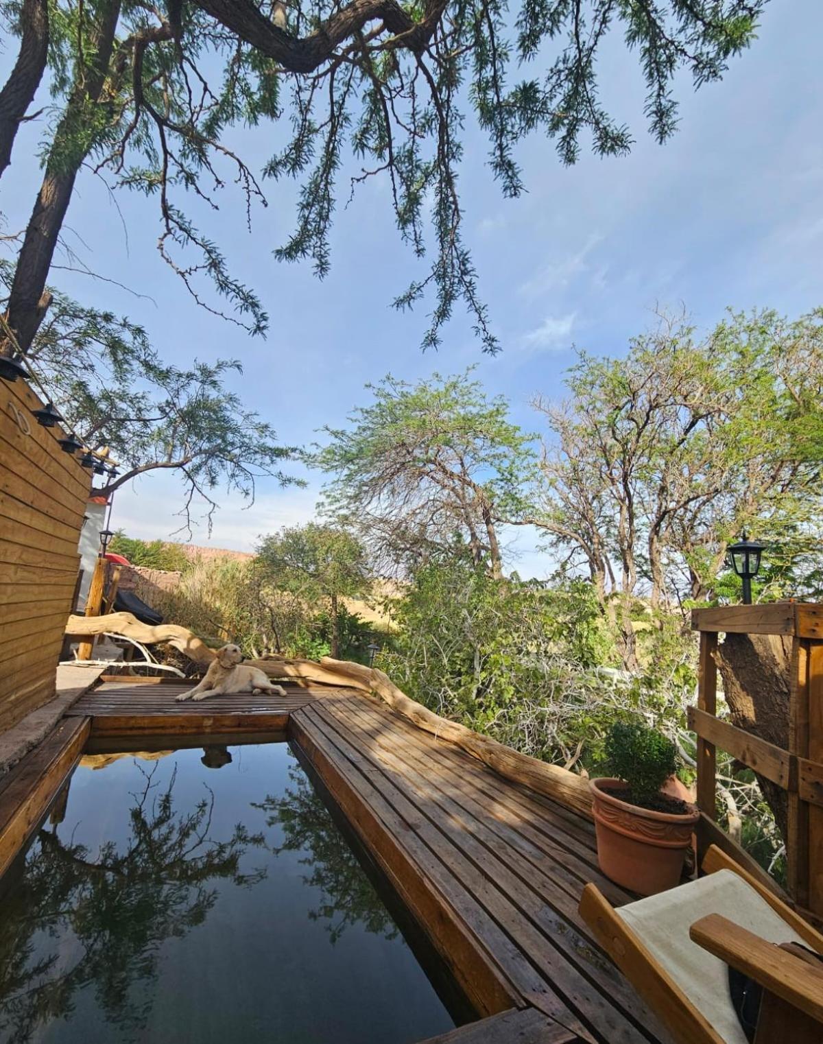 Anka Lodge Quitor San Pedro de Atacama Bagian luar foto