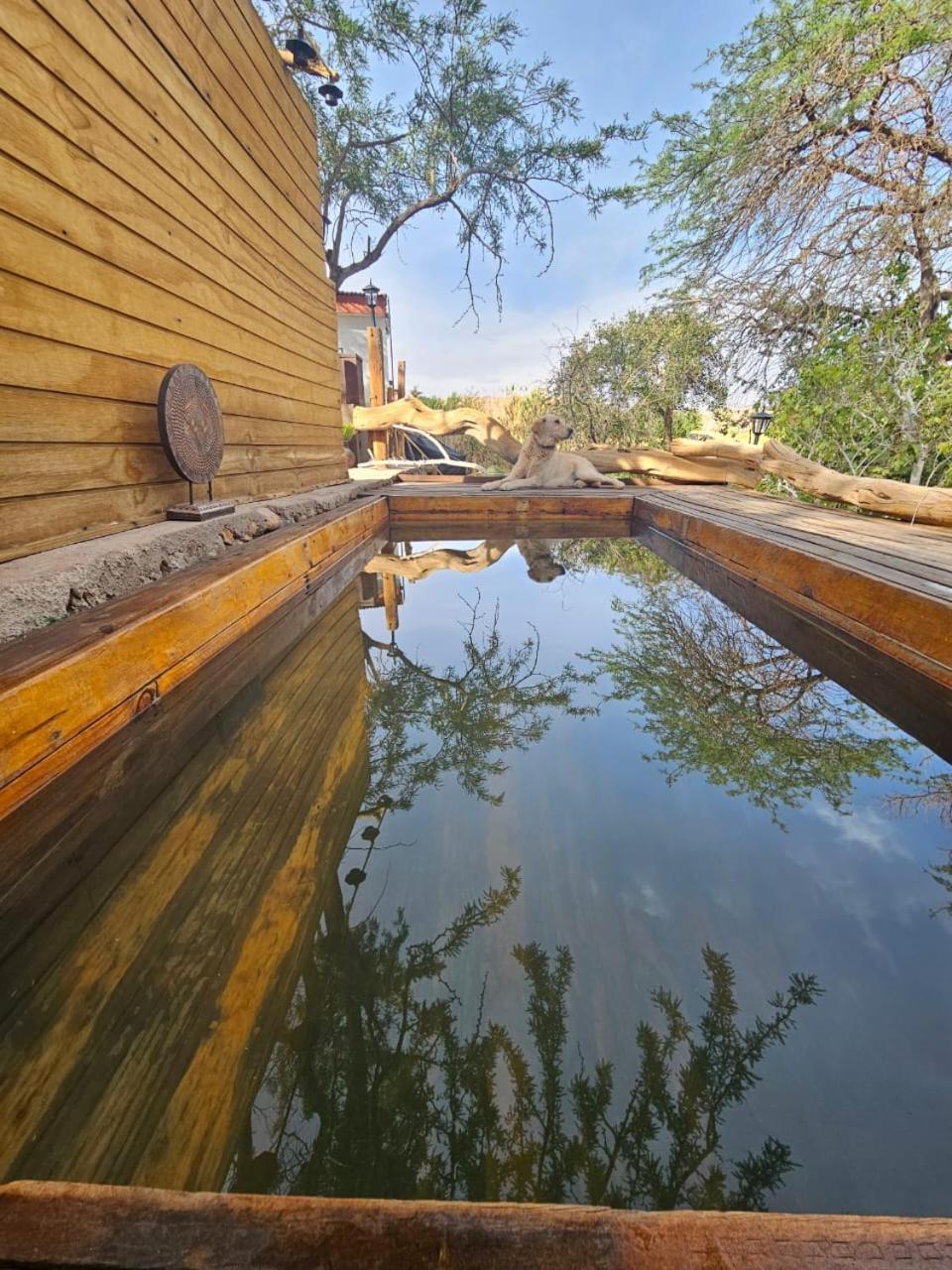Anka Lodge Quitor San Pedro de Atacama Bagian luar foto